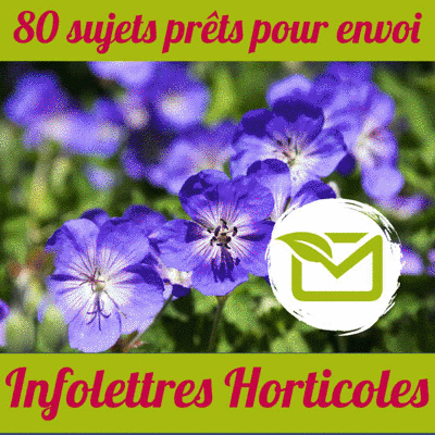 GIF INFOLETTRES 400PX
