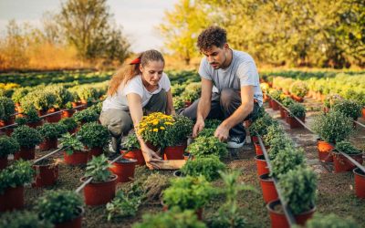 Template Update Check