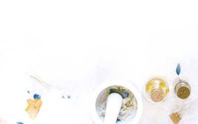 Checking Blog Tutorial