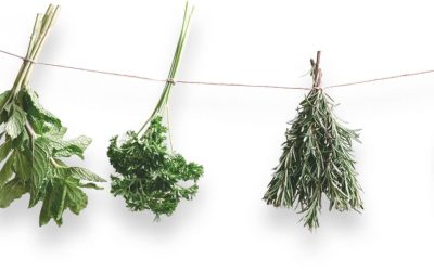 Second Category Post